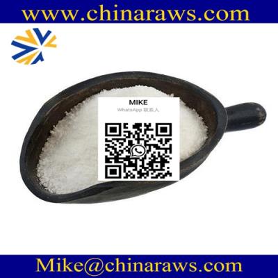 Piracetam Powder CAS 7491-74-9 China Source