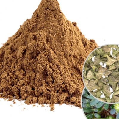 Pure Natural Plant Extracts Tribulus Terrestris Extract/Organic Tribulus Terrestris Extract